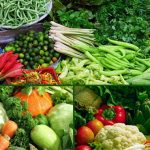 harga sayuran di kota Jakarta Barat terkini