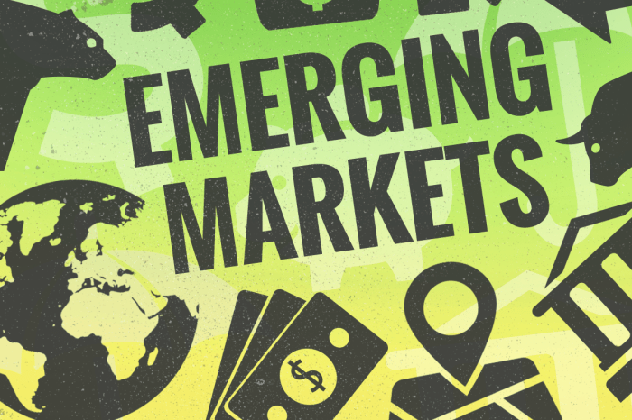 Emerging markets market economy characteristics open